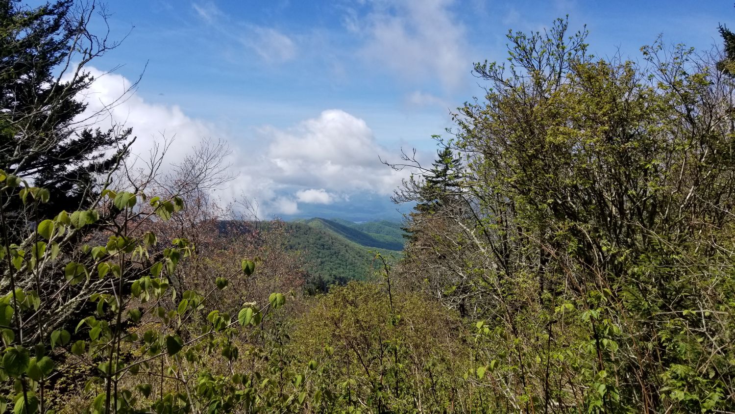 Abrahms Bald Hike 